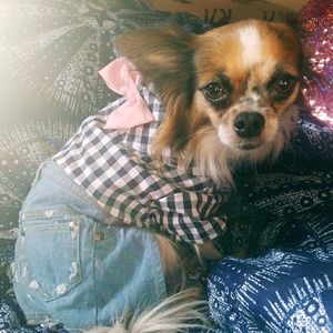 Meet your Posher, Breanna